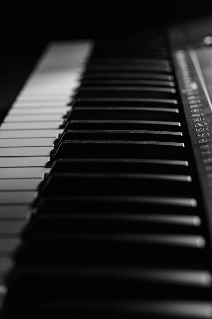 piano, keyboard, sound, keys, instrument, music, white, black, play, melody, organ, musical instrument, black and white, monochrome